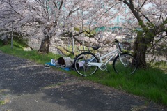 風景