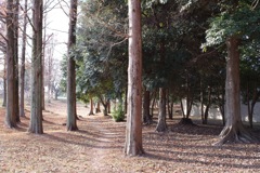IMGP9709