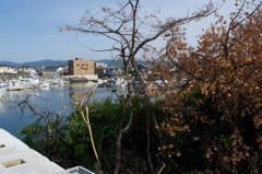 風景