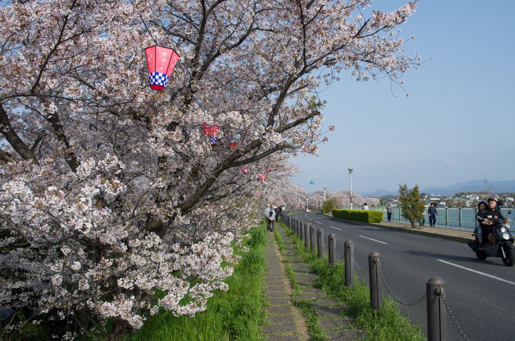 風景