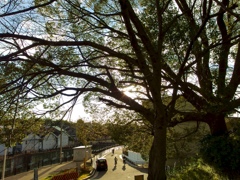 IMGP0014