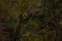 風景
