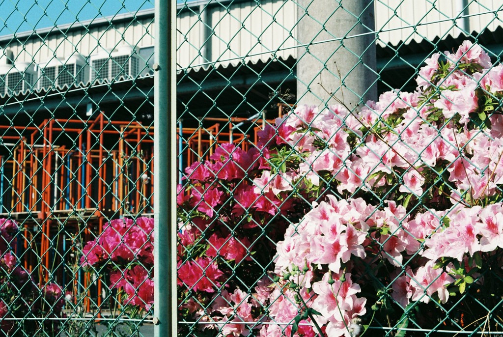 風景