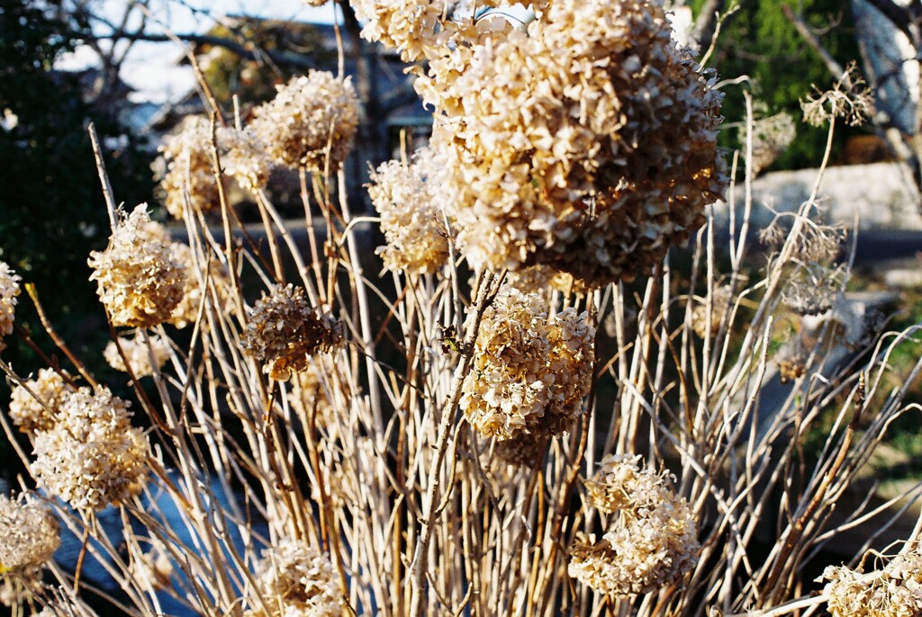 FH010013