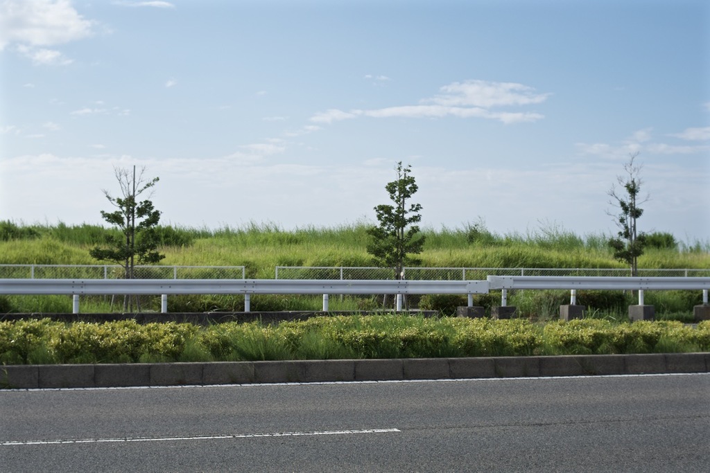 沿道
