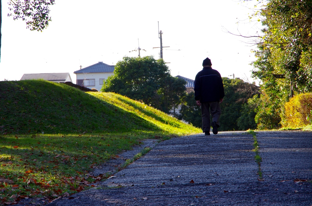 散歩道