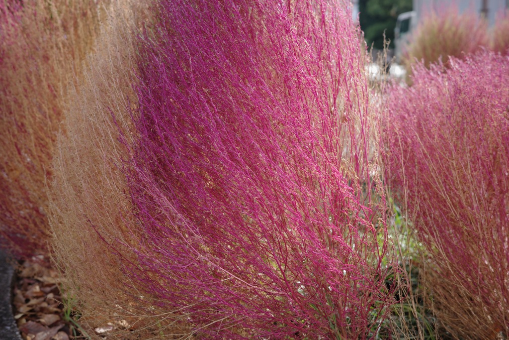 R0000124