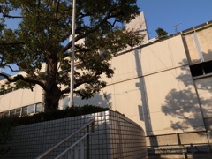 風景