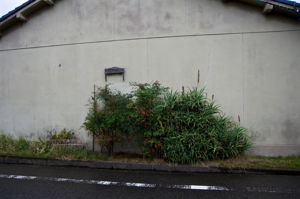 風景