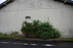 風景