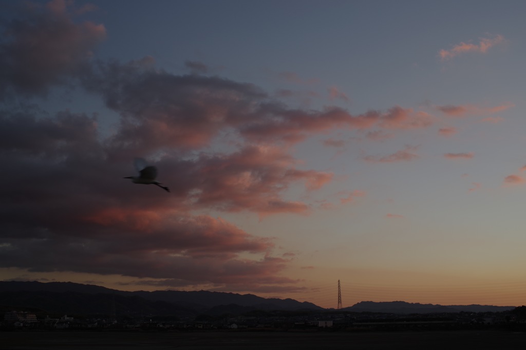 風景