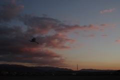 風景