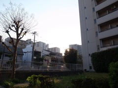 風景