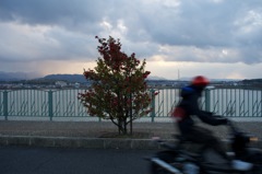 風景