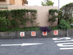 R0010511