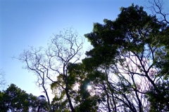 DSC00016