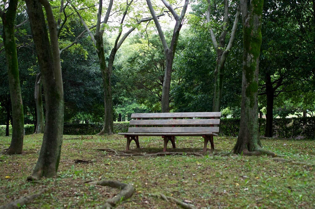 木