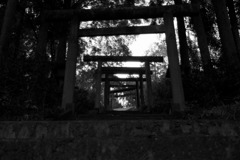 鳥居、そして鳥居