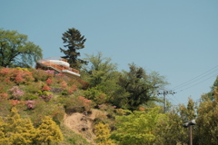 おしゃもじ山公園