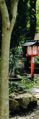 testcrop1