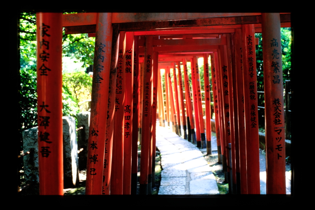 乙女稲荷神社