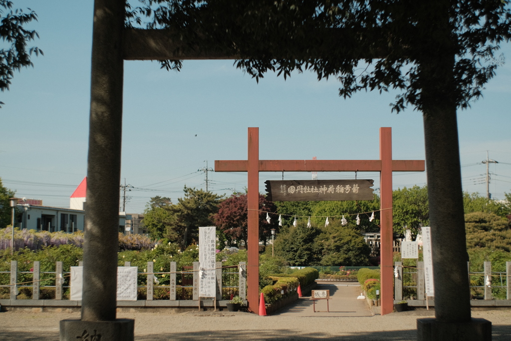箭弓稲荷神社牡丹園入り口