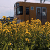 黄色; 花と電車