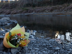 川辺の花束