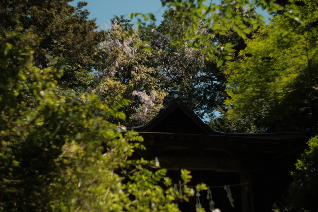 高野倉八幡神社
