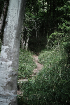 松山城跡