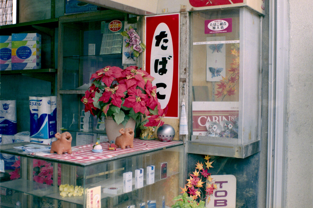 タバコ屋のポインセチア