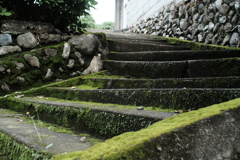 苔むした階段