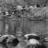 釣り人の休憩所