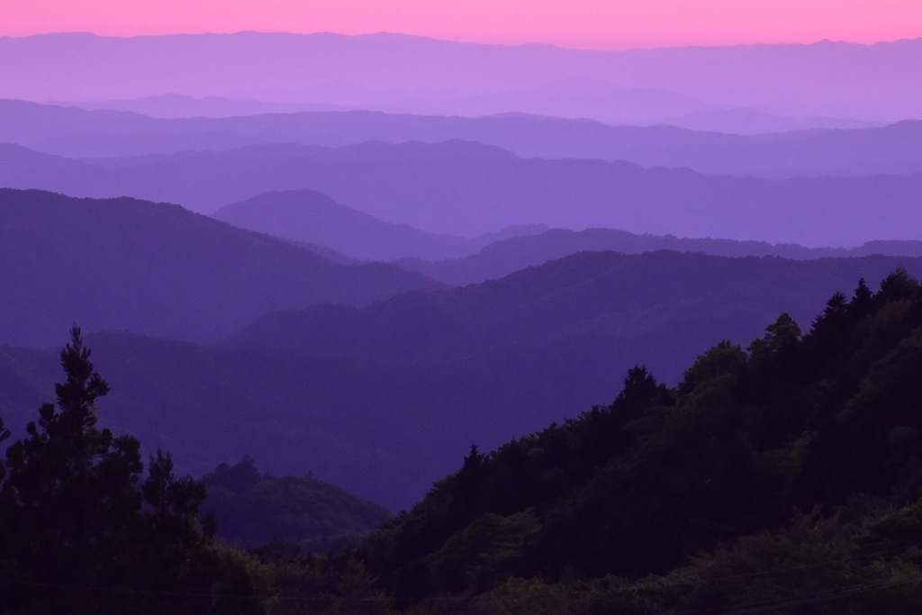 pink gradation ver.2