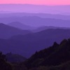 pink gradation ver.2