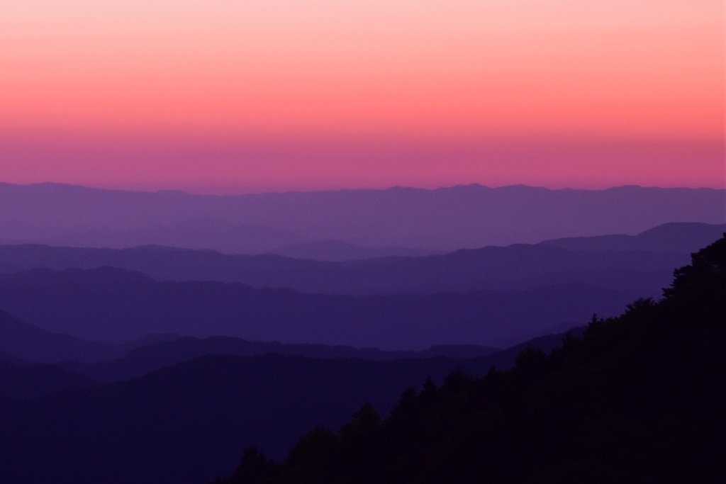 pink gradation