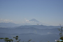頂