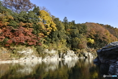 水面に映える紅