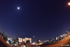 夜景