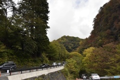 イロハ