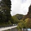 イロハ