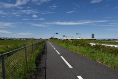 道