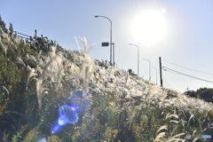 秋風