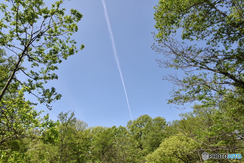 空を切る