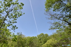 空を切る