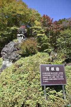 これは...