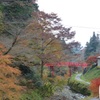 高野山　２０１６秋
