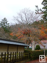 高野山　２０１６秋