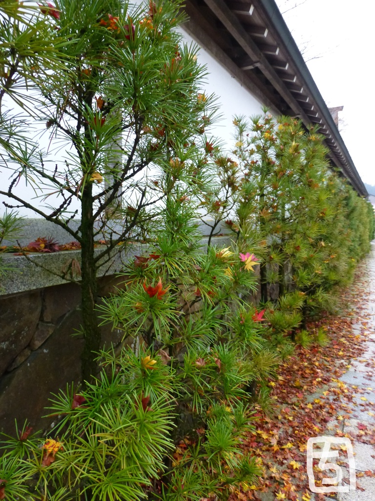 高野山　２０１６秋