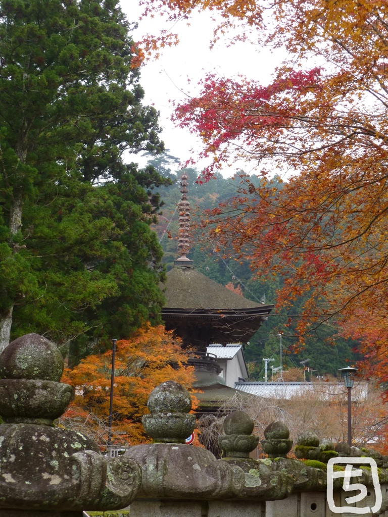高野山　２０１６秋
